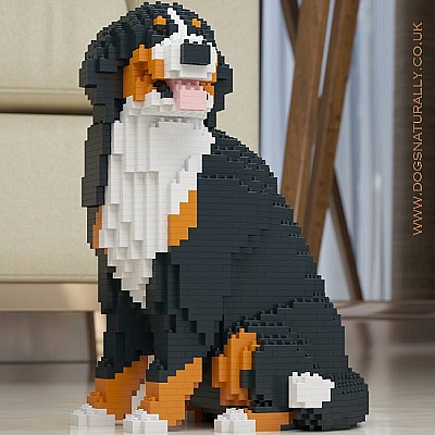 Bernese Mountain Dog (Sat) Jekca Available in 2 Sizes